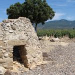 Bod. Solana de Ramírez, D.O.Ca. Rioja VIÑEDO GALLOCANTA (1)